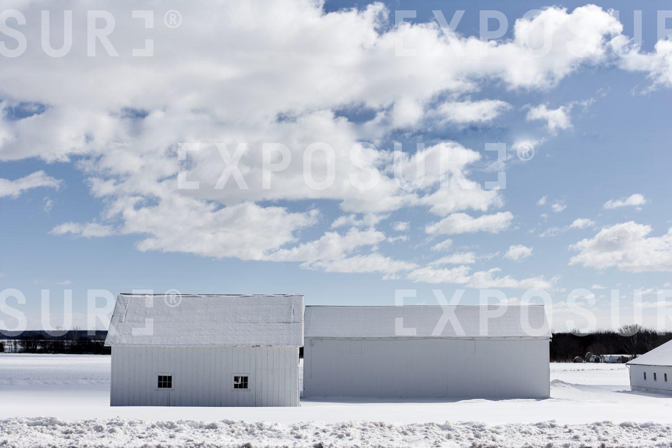 White barns, snowy landscape, Midwest