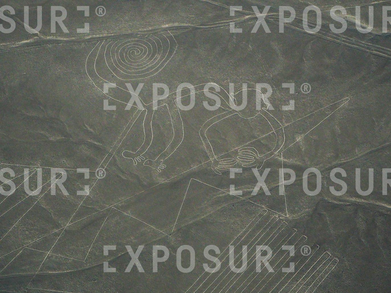 Nazca lines 3